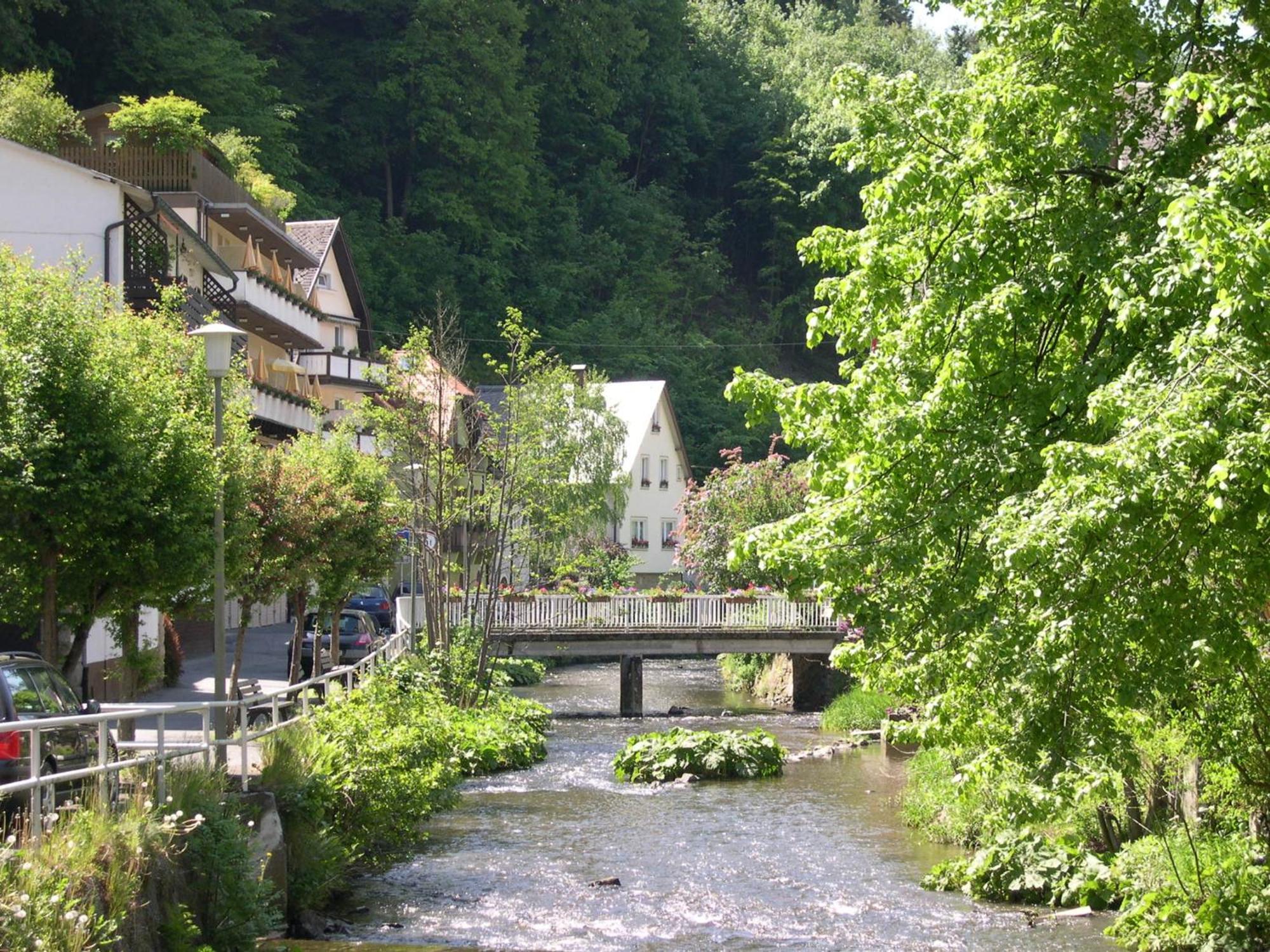 Hotel Heissinger Bad Berneck im Fichtelgebirge Exterior photo